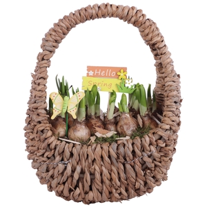 Bulbs Arr. Narcis Egg Shaped Handle Basket Ø27cm