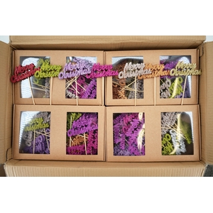 Merry christmas on wire color mix glitter 4x10cm 48/set