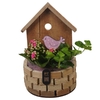 Arrangementen kamerplanten hout PTIB5261 Hedera, Kalanchoe