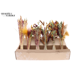 Various Driedflower Mix Pumpkin Spice