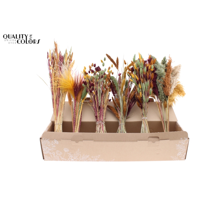 <h4>Various Driedflower Mix Pumpkin Spice</h4>