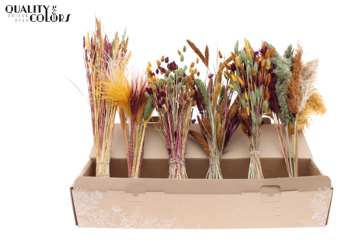 Various Driedflower Mix Pumpkin Spice