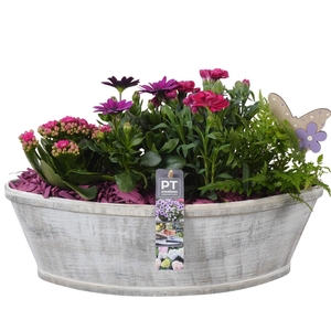 PTPP7010 Arrangement Patio in houten boot