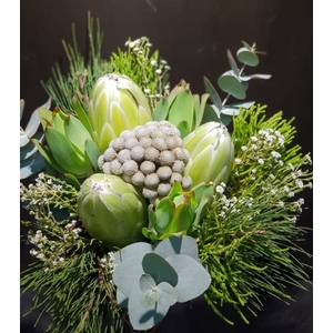 Bqt - 3 Protea White Rhino Carousel (p/bnch)