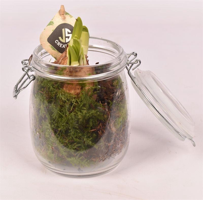 <h4>Glas weckpotje 11cm</h4>