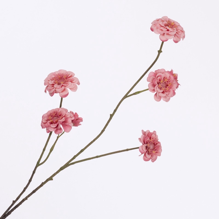 Zinnia Spray Pink FL440346PNK