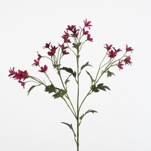 AF Matricaria spray L65cm fu