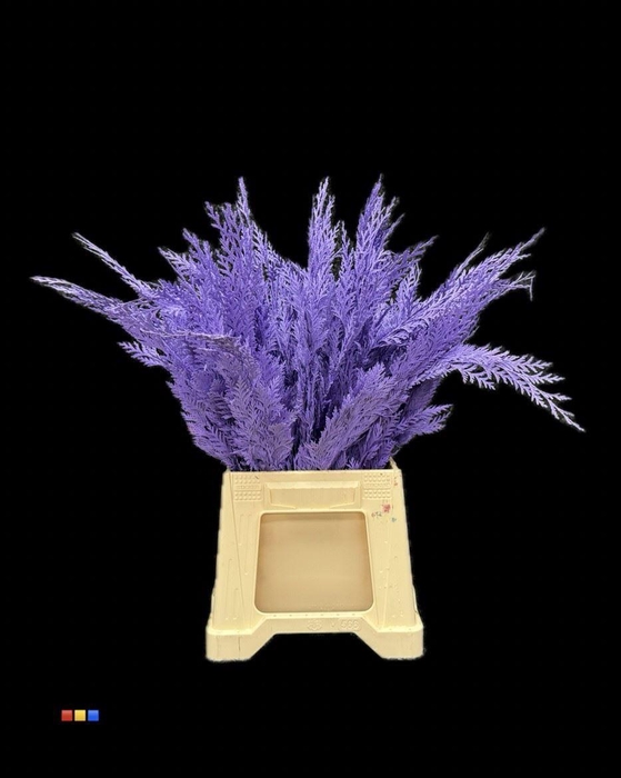 <h4>Conifers DYED Milka</h4>