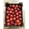 APPEL GROEN (LAK)