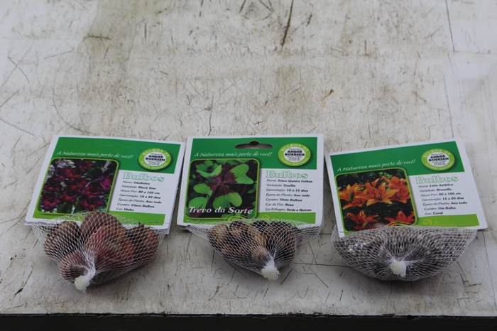 <h4>BULBOS DE FLORES NATURAIS</h4>