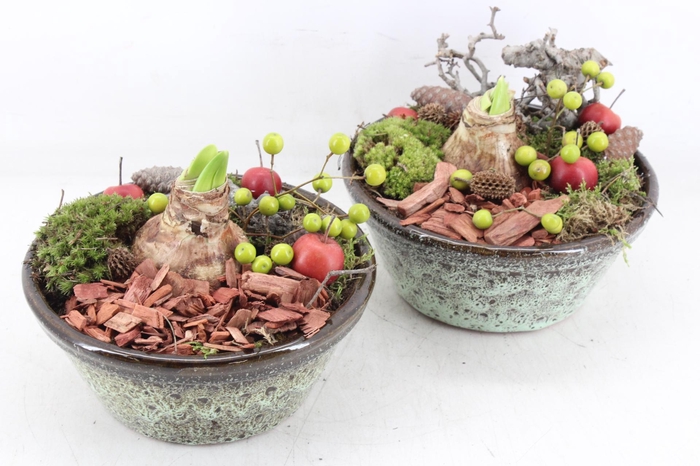 <h4>arr4 Amaryllis MB - Ker. luxe taps rand RD</h4>