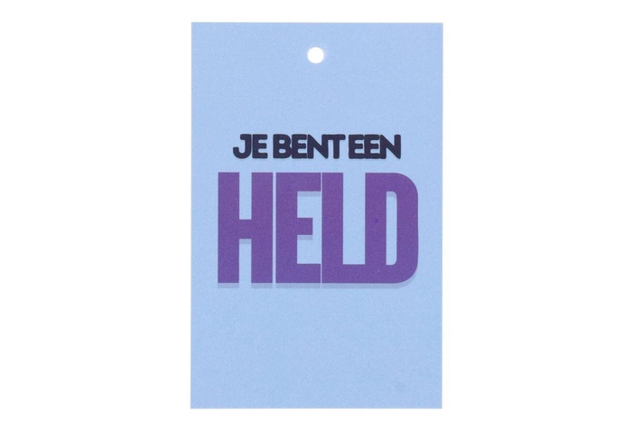 <h4>Gift Bouquet Card Held Blue 6x9cm P/25</h4>