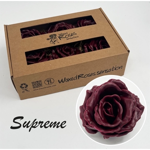 R Zijde Supreme Bordeaux Wx