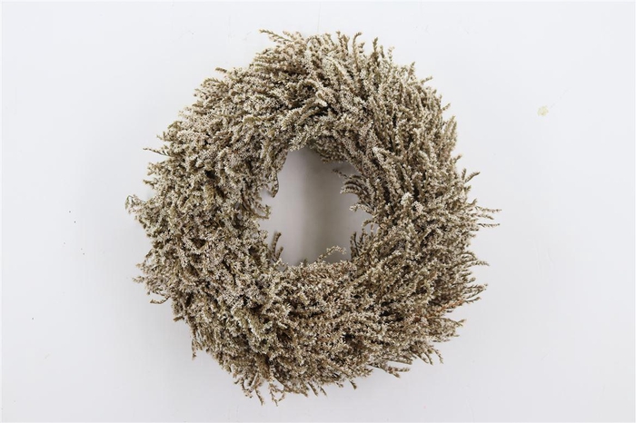 <h4>Wr Tatarica Statice 40cm</h4>