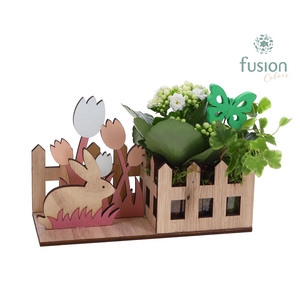 Pasen Haas hout met Arrangement