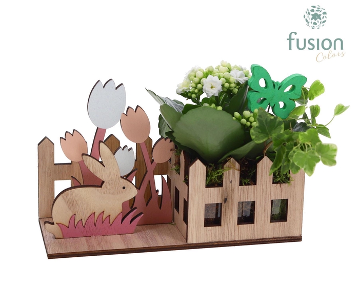 <h4>Pasen Haas hout met Arrangement</h4>