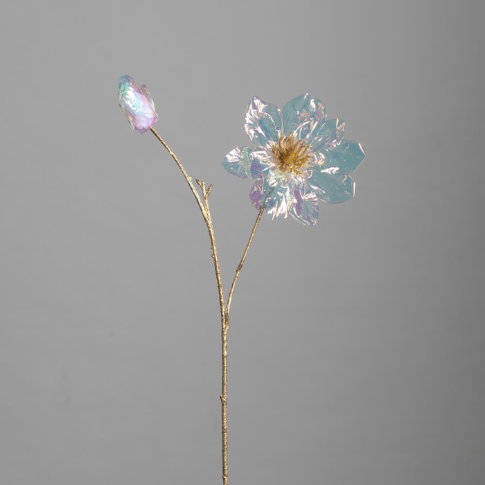 AF Irid. Magnolia Sprayx6 L120