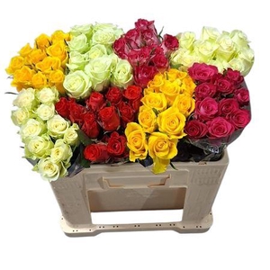 R Gr Gemengd In Fust