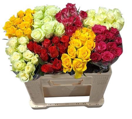 <h4>R Gr Gemengd In Fust</h4>