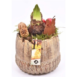 Cement pot najaar br/gr 16cm