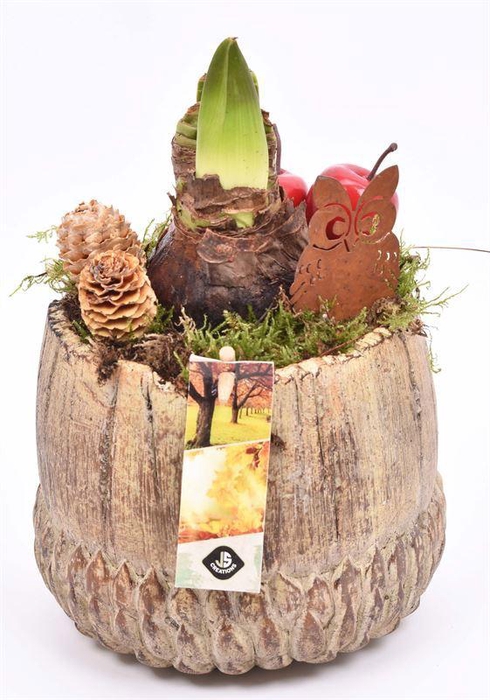 <h4>Cement pot najaar br/gr 16cm</h4>
