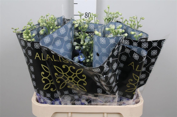 <h4>Delph Du Aurora Blue</h4>