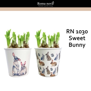 Narcis Rom 1030 Sweet Bunny