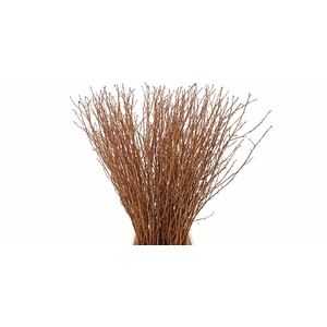 Berk 70cm Gl Koper Pbs