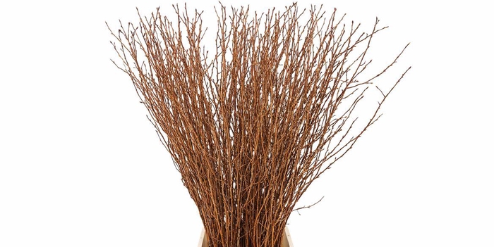 <h4>Berk 70cm Gl Koper Pbs</h4>