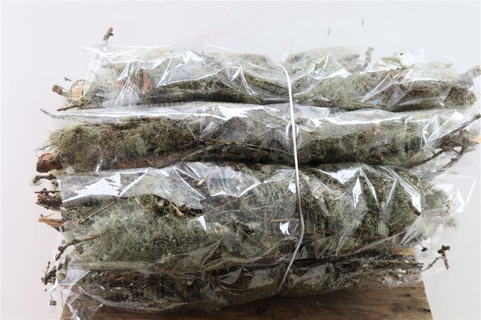 Mostakken Short P Bunch