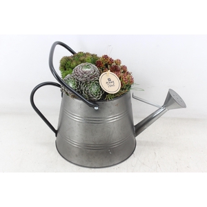 arr4 Semp PL - Zink gieter