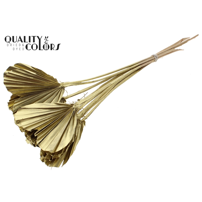 <h4>Palm Spear Heart per stem Gold</h4>