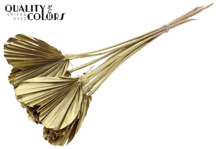 Palm Spear Heart per stem Gold