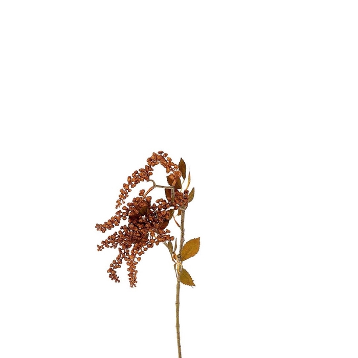 <h4>Berry Jungle 72cm</h4>