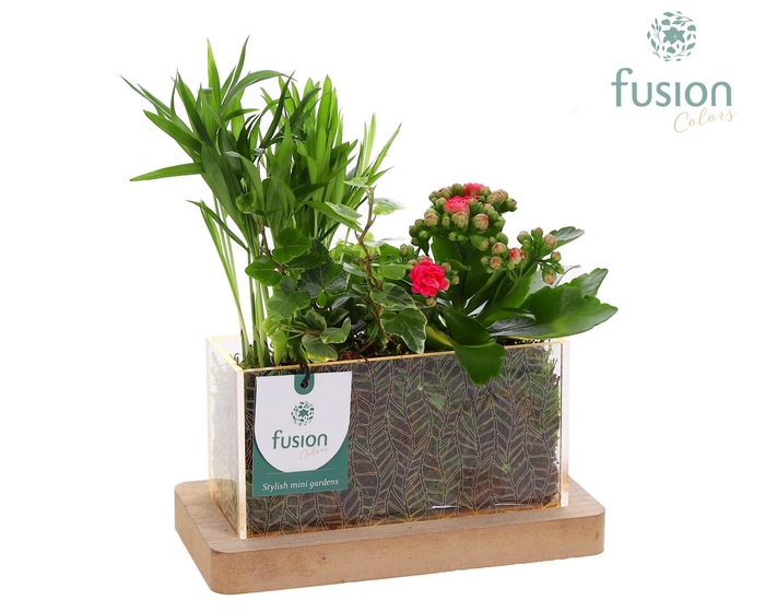 <h4>Acryl bakje rechthoek met Arrangement</h4>