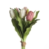 AF Tulip Bundle x7 L31cm Mix P