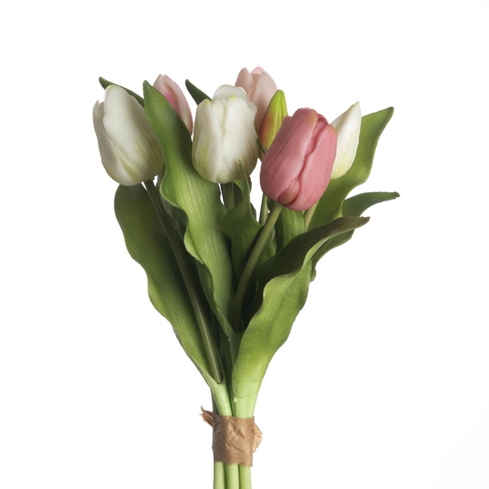 AF Tulip Bundle x7 L31cm Mix P