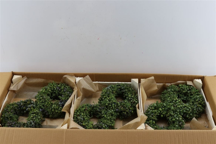 <h4>Wr Sierfruit Juniperus 20cm</h4>