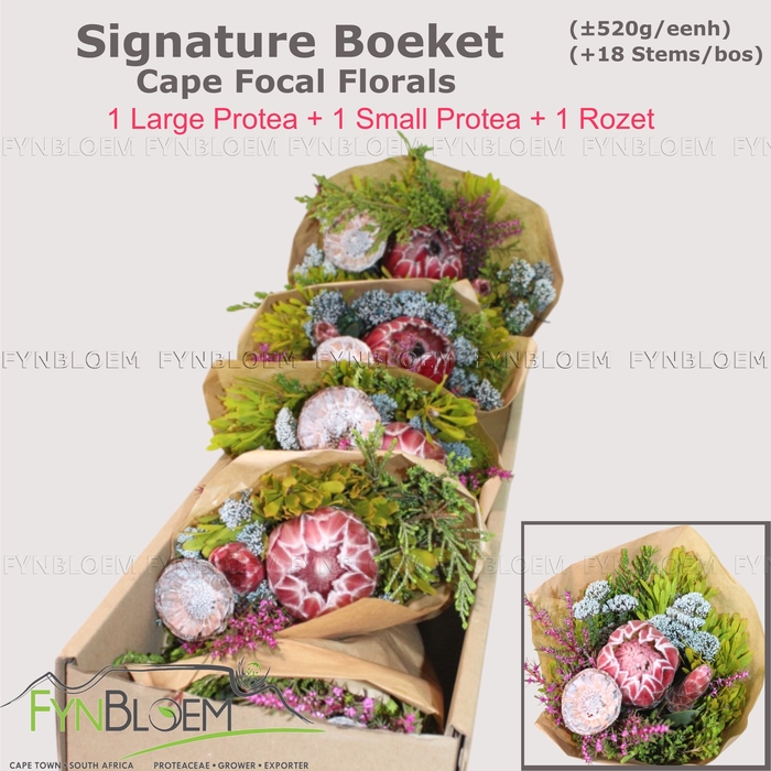 <h4>PROTEA PER BOS</h4>