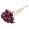 Shola Karnish Flower 6cm on stem Multicolour Cerise/Milka
