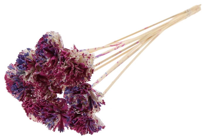 Shola Karnish Flower 6cm on stem Multicolour Cerise/Milka