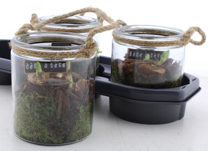 <h4>ARR N TETE A TETE</h4>