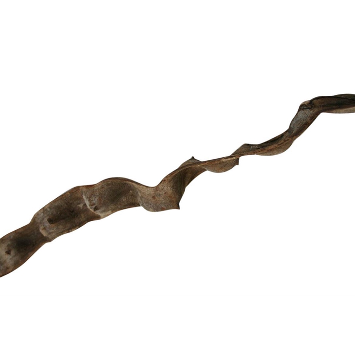 <h4>Branch Cipo Escada L200 D12 up</h4>