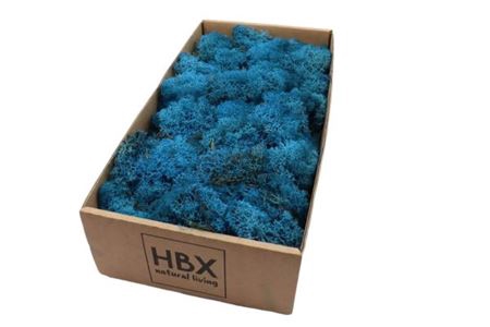 <h4>Reindeer Moss 500gr Blue</h4>