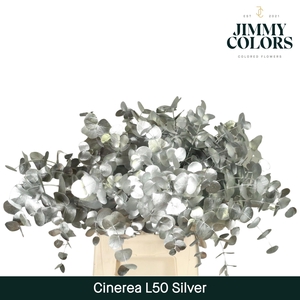 Cinerea l50 Zilver