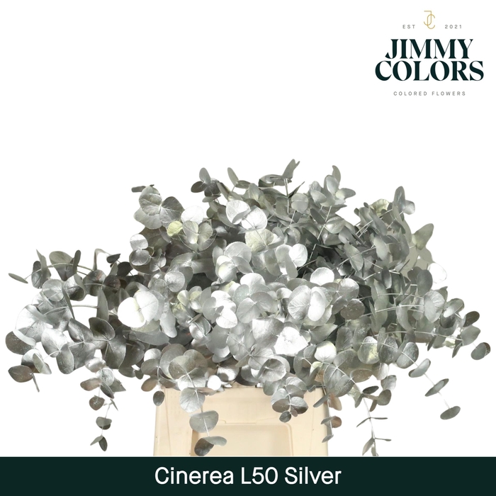 <h4>Cinerea l50 Zilver</h4>