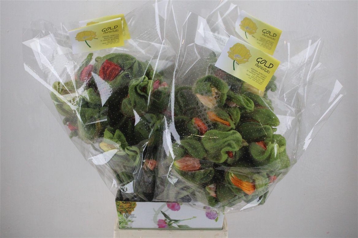 <h4>Papaver Mixed Sup Sup P Stem</h4>