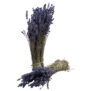 Lavendel Gedroogd