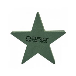 oasis bioline ster 40x40x4,4,5cm a 2 st