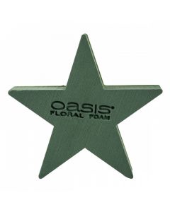<h4>oasis bioline ster 40x40x4,4,5cm a 2 st</h4>
